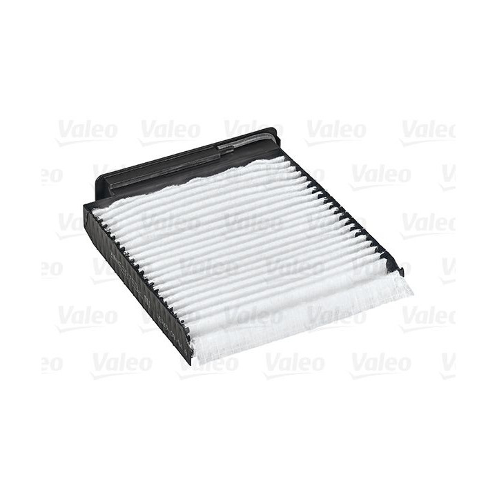 Filtras, salono oras VALEO 698753