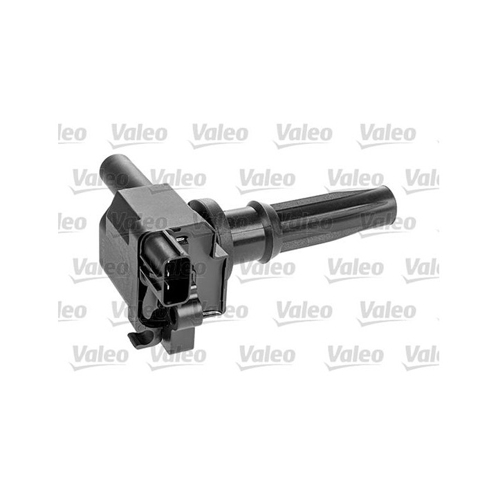 Ritė, uždegimas VALEO 245251