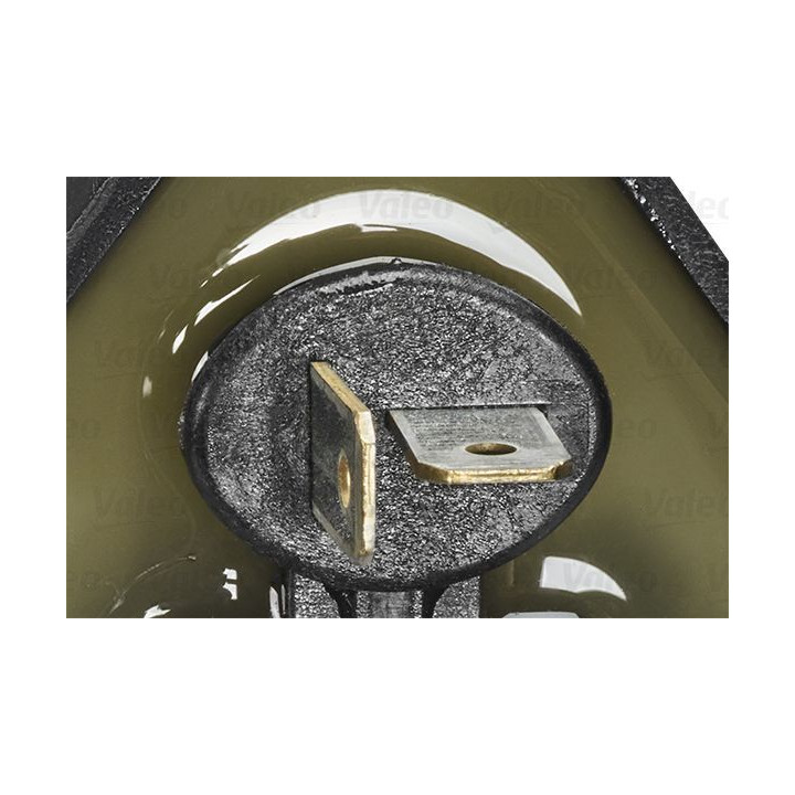 Ritė, uždegimas VALEO 245379