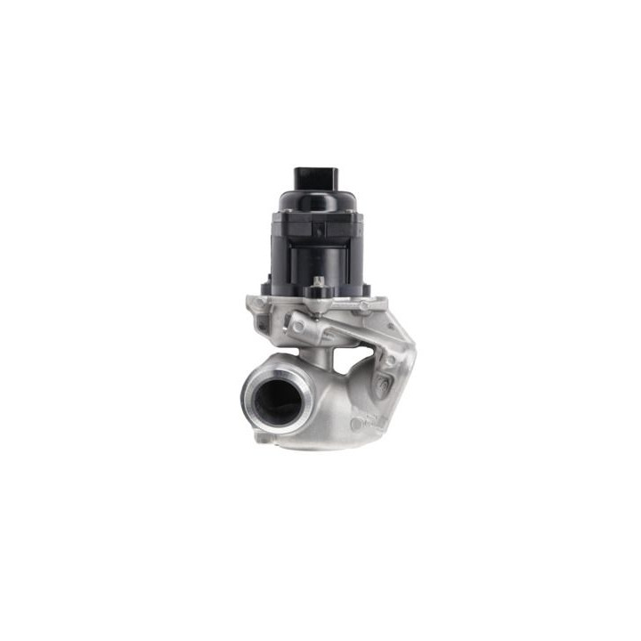 ERG vožtuvas VALEO 700474