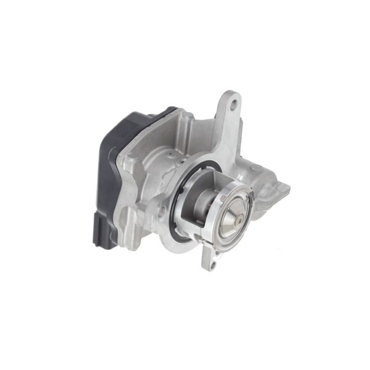 ERG vožtuvas VALEO 700478