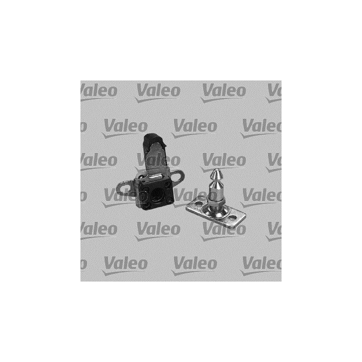 Galinių durų užraktas VALEO 256412