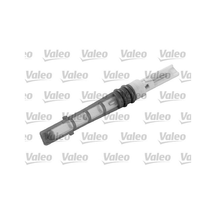 Purkštuko antgalis, išsiplėtimo vožtuvas VALEO 508968