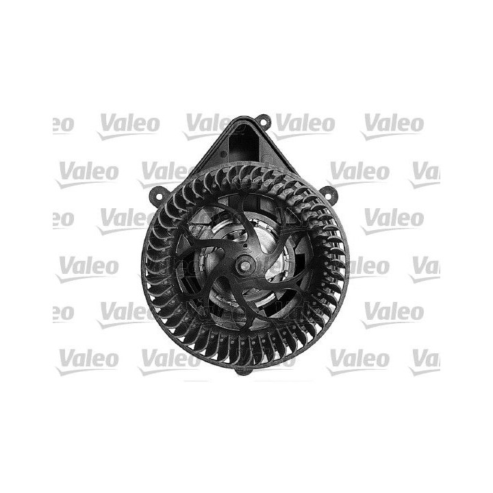 Vidaus pūtiklis VALEO 698059