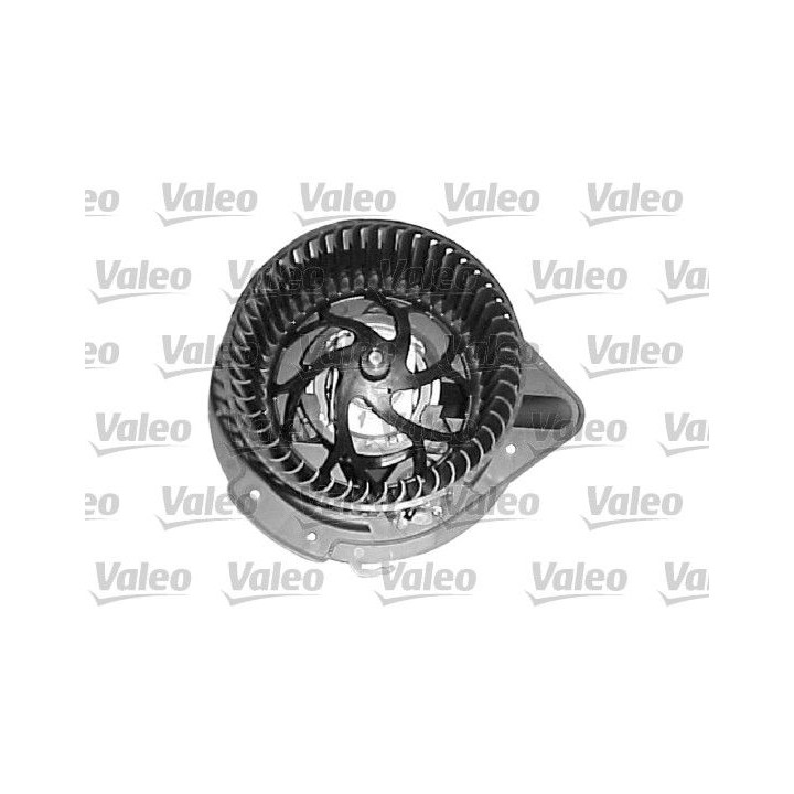 Vidaus pūtiklis VALEO 698216