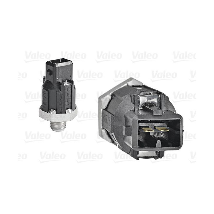 Detonacijos jutiklis VALEO 255400