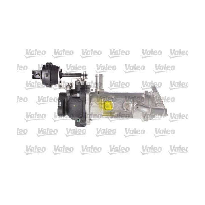 Aušintuvas, išmetamųjų dujų recirkuliacija VALEO 818791