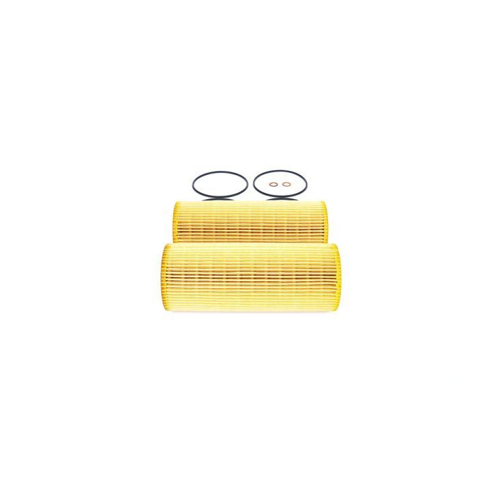 Alyvos filtras BOSCH 1 457 429 732