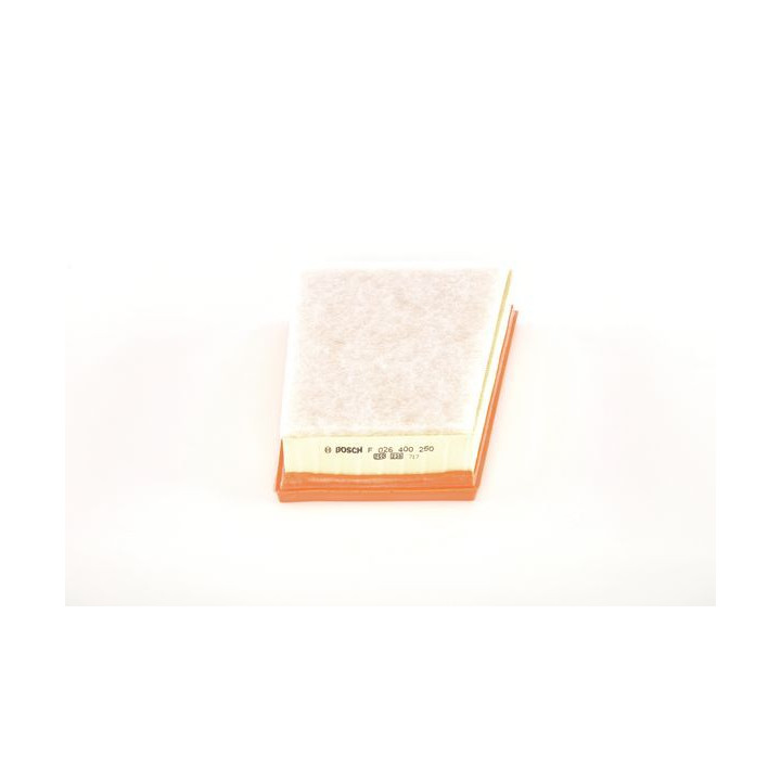 Oro filtras BOSCH F 026 400 250