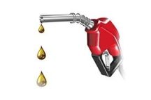 ALYVOS IR DEGALŲ PRIEDAI