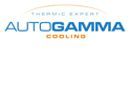 AUTOGAMMA
